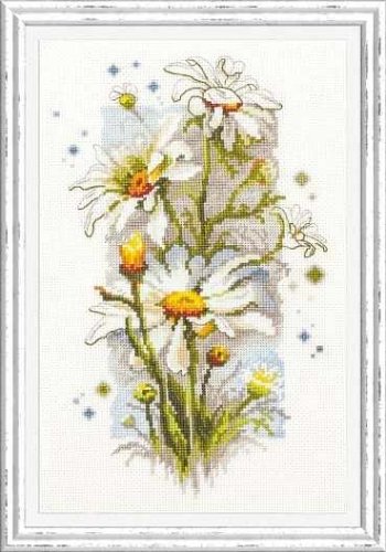 (image for) White Daisies
